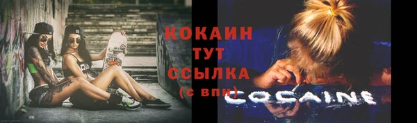 стафф Бородино