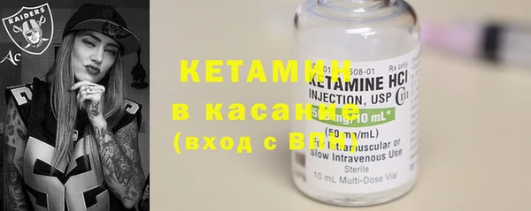 стафф Бородино