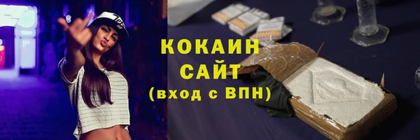 стафф Бородино