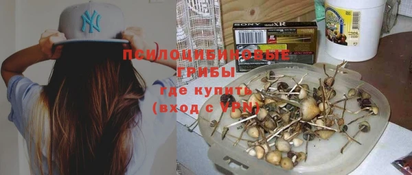 стафф Бородино